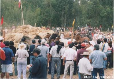 La Trilla de Ciruelos fue una de las mejor organizadas del verano 2006.