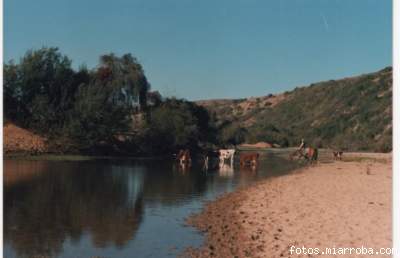 Un paisaje del campo, en el sector del Estero Nilahue, en El Maqui. Un paisaje del campo, en el sector del Estero Nilahue, en El Maqui.