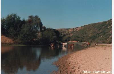 Un paisaje del campo, en el sector del Estero Nilahue, en El Maqui.