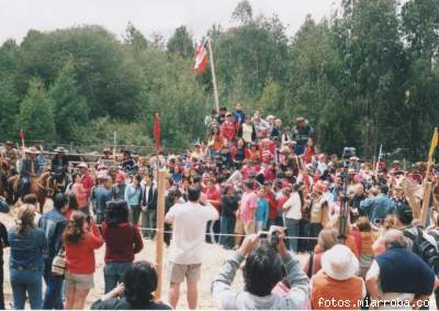 La Trilla a Yegua Suelta sigue concitando el interés de los turistas. La Trilla a Yegua Suelta sigue concitando el interés de los turistas.