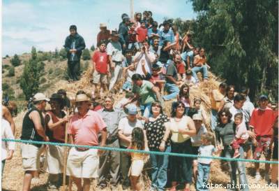 Las Trillas a Yegua Suelta es una de las tradicionales fiestas que brinda el verano pichilemino.