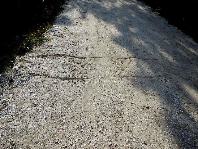 DSCN4436 DSCN4436