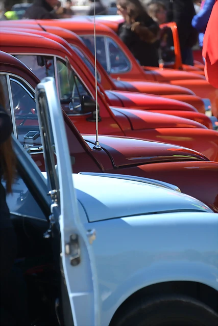 DSC_0008 DSC_0008