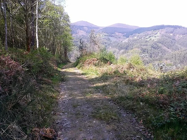 ruta Cascada Gorgollón Faedo ruta Cascada Gorgollón Faedo