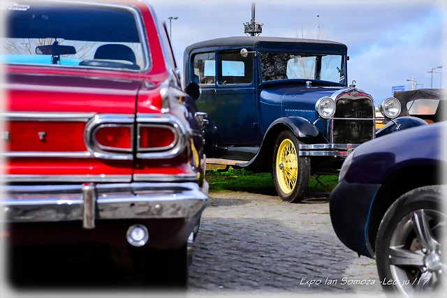 DSC_0031 DSC_0031