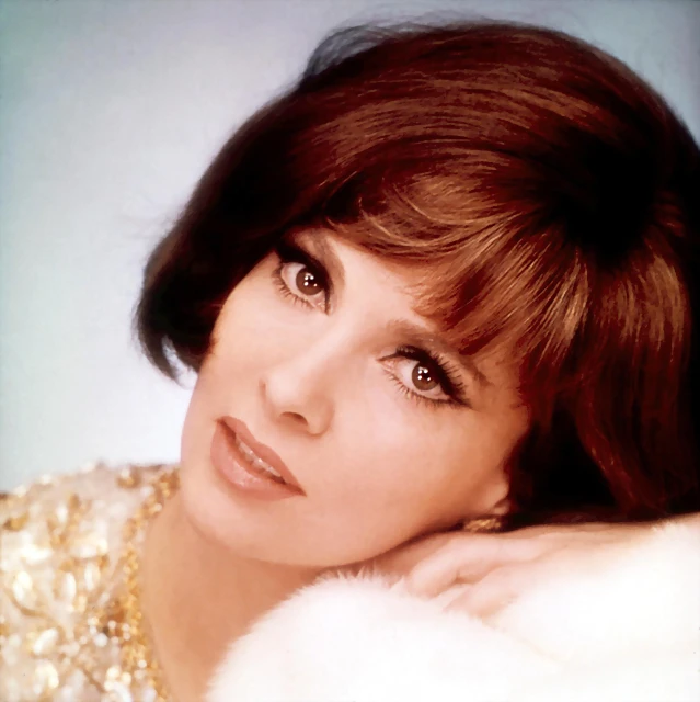 gina-lollobrigida-1960s-everett gina-lollobrigida-1960s-everett
