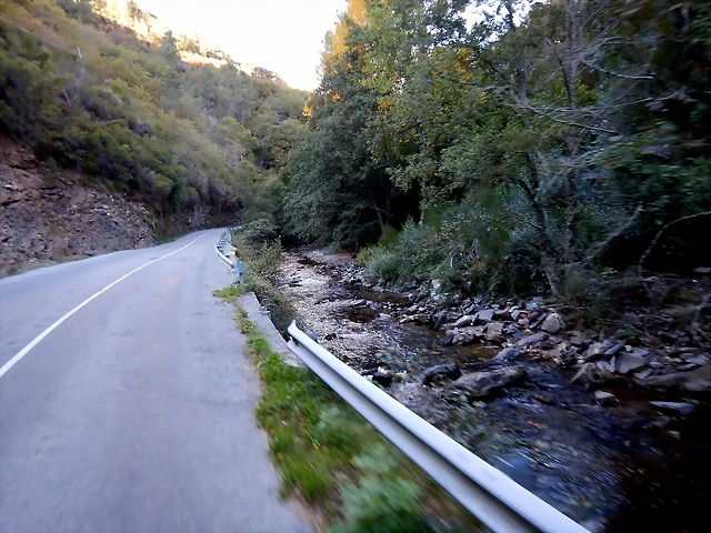 DSCN9684 DSCN9684