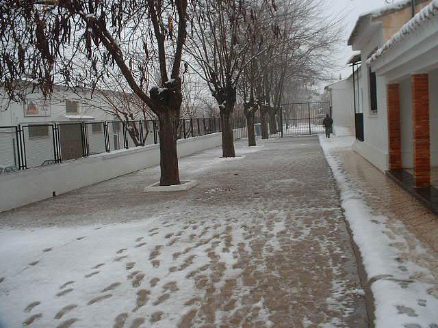 Nieve 2008