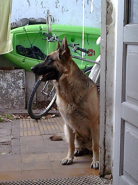Imagen009 Imagen009