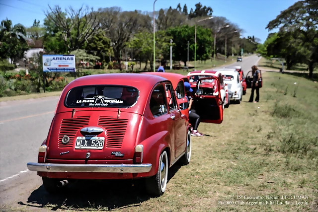 DSC_0725 DSC_0725