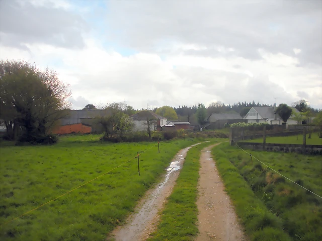 DSCN4205 DSCN4205