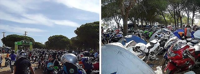 faro21 faro21