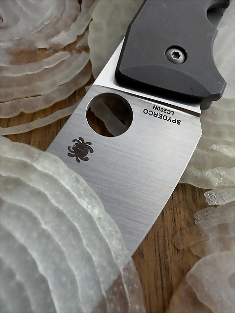SPYDIE
