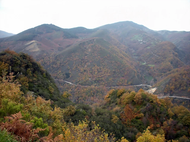 DSCN0594 DSCN0594