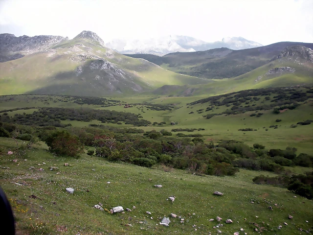 DSCN3668