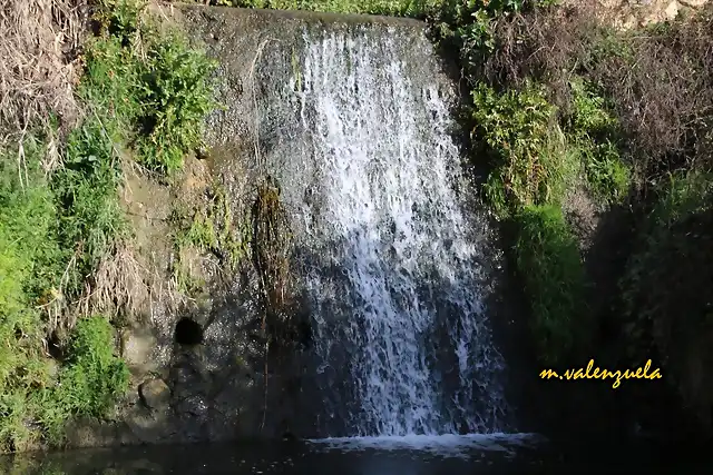 11, presa en el arroyo, marca