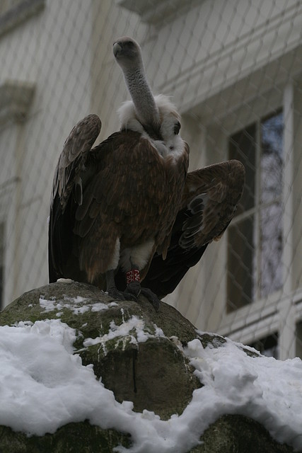Amsterdam 2010 831