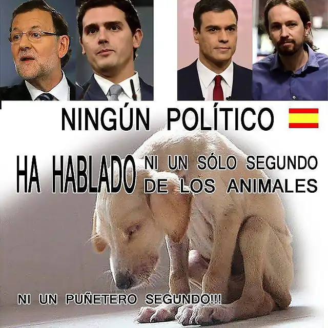 MemesAnimalesYPoliticos-1