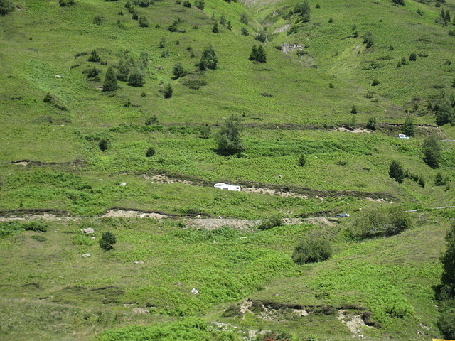 IMG_3486 IMG_3486