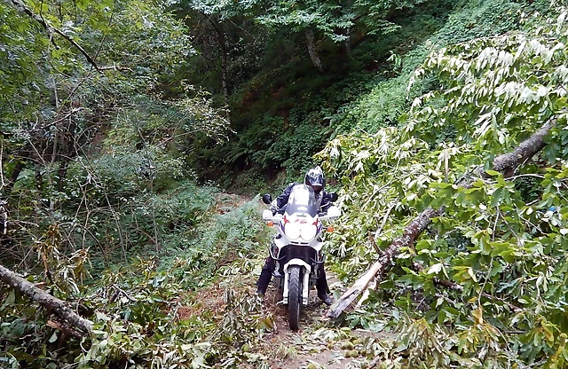 DSCN9818 DSCN9818