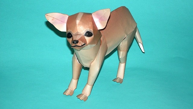 Chihuahua (Cabeza de manzana) Papercraft