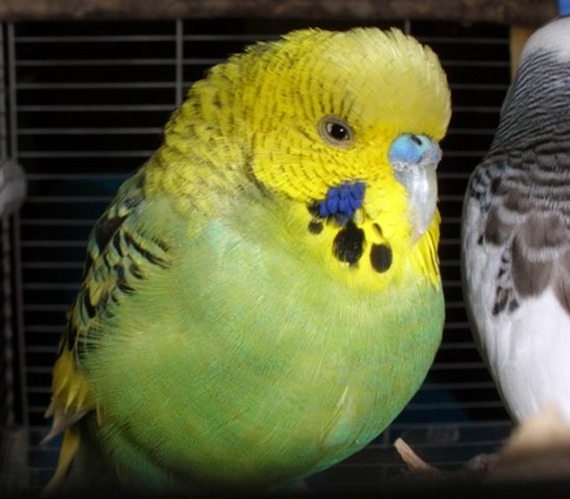 Pablo 22/10 Pablo 22/10