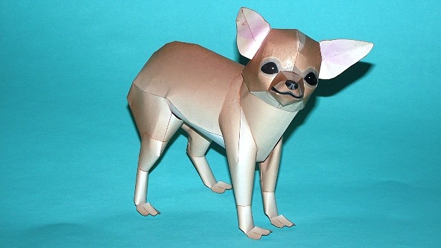 Chihuahua (Cabeza de manzana) Papercraft