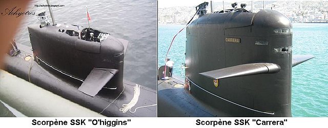 Scorpenes chilensis 2