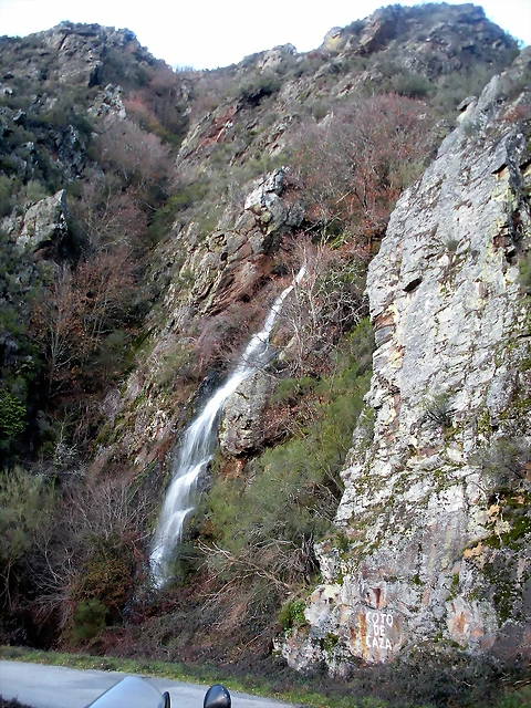 DSCN2553 DSCN2553