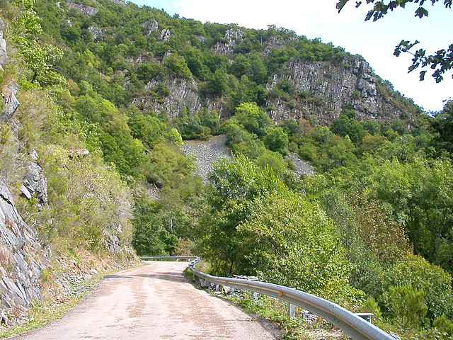 DSCN3238 DSCN3238