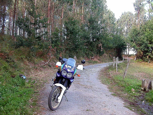 DSCN2138 DSCN2138