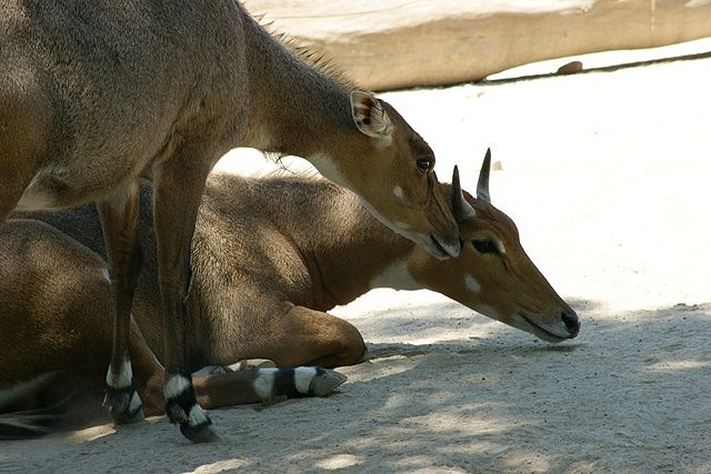 DSC04498 (Copiar)