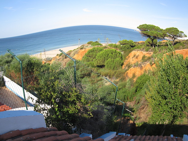 IMG_0005 IMG_0005
