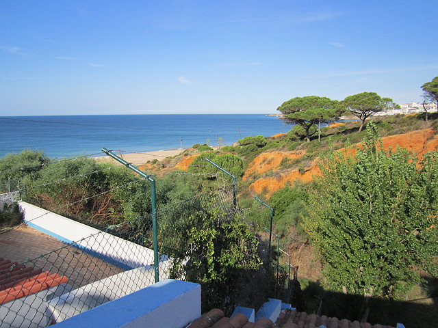 IMG_0006 IMG_0006
