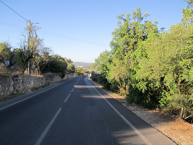 IMG_0065 IMG_0065