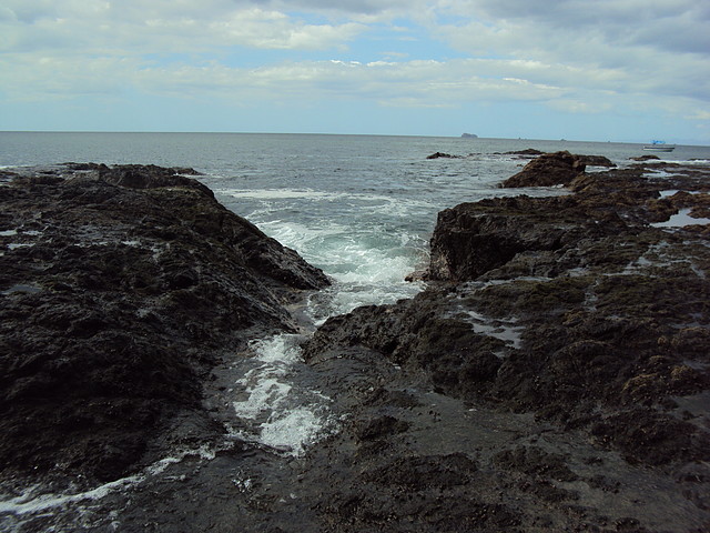 DSC01610 DSC01610