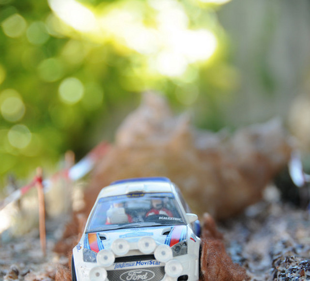 DSC_1334 DSC_1334