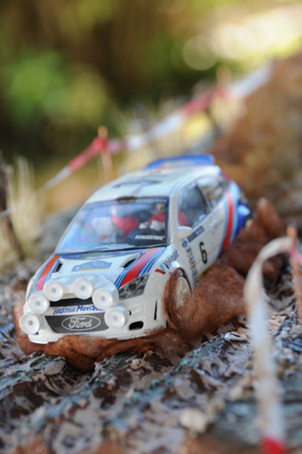 DSC_1331 DSC_1331