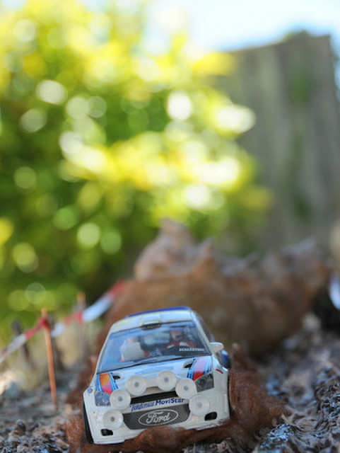 DSC_1335 DSC_1335