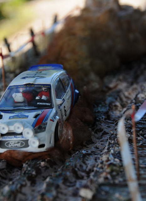 DSC_1341 DSC_1341