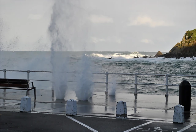 DSC_0629 DSC_0629
