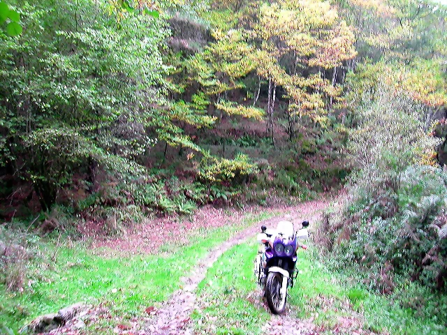 DSCN6280 DSCN6280
