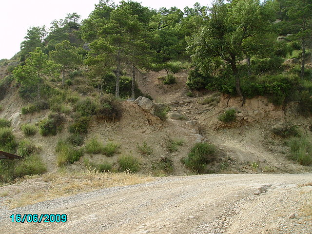 zona 6