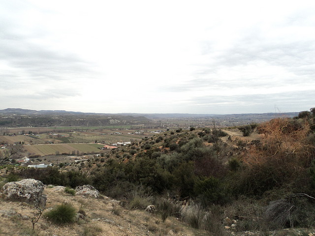 DSC00029 DSC00029