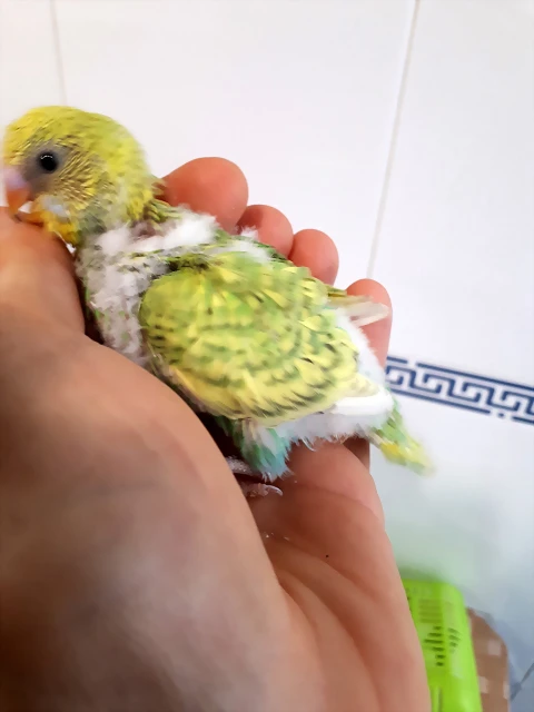 20190704_145156 20190704_145156