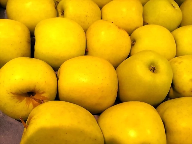 Manzanas reineta Manzanas reineta