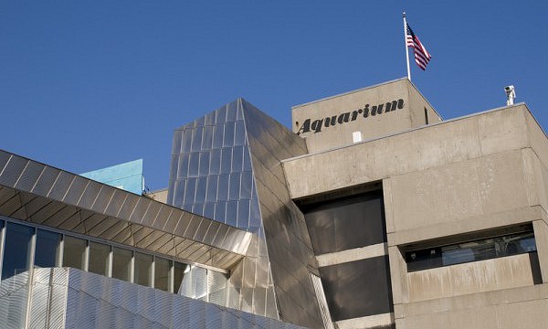 boston_aquarium-600x360