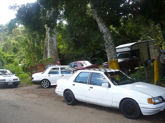 P1000572 P1000572