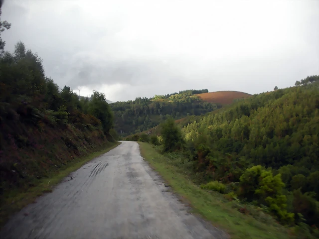 DSCN8456 DSCN8456