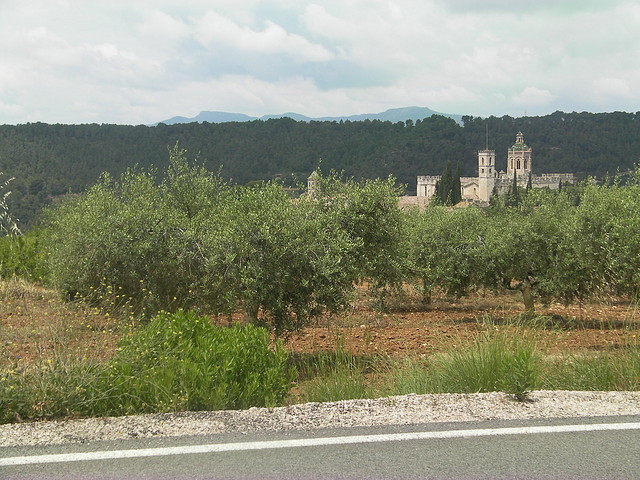 SANY0618 SANY0618